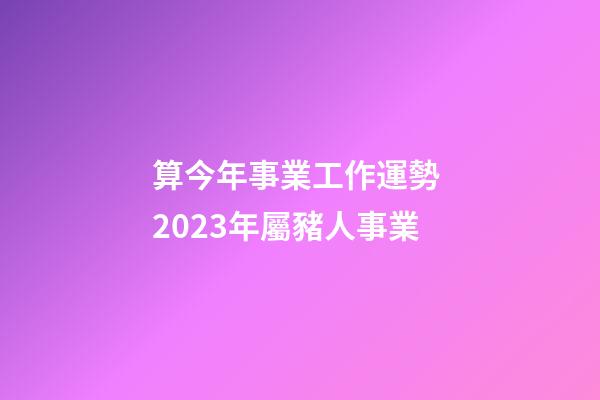 算今年事業工作運勢 2023年屬豬人事業